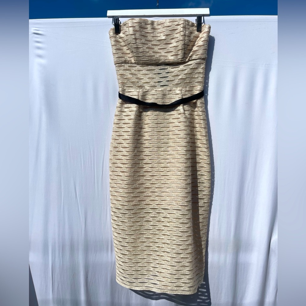 Elegant Wedding Guest Dress - Strapless, Mid Length